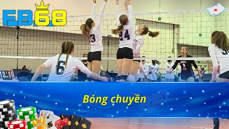 Bật Mí Những Điểm Nổi Bật Của Sảnh Thể Thao Saba Tại Fb68 5 Bóng chuyền tại thể thao Saba Fb68