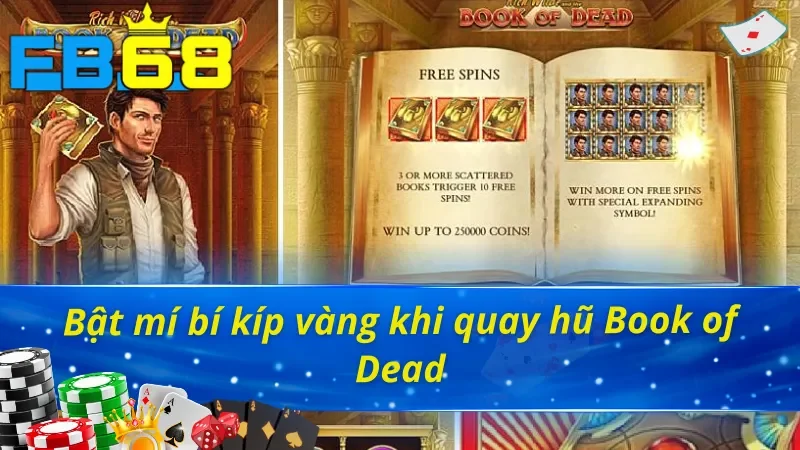 Bật mí bí kíp thắng lợi khi quay hũ Book of Dead 