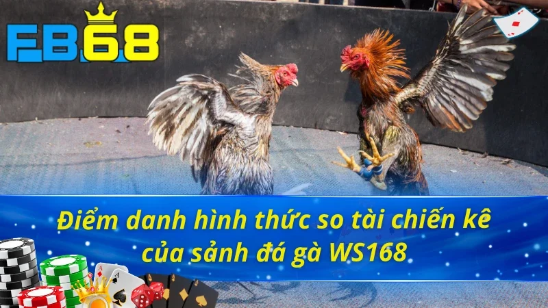 Đá Gà WS168 - Trải Nghiệm Đấu Trường Chọi Gà Kịch Tính Tại FB68 4 Đá gà WS168 FB68 sở hữu đa dạng hình thức chọi gà