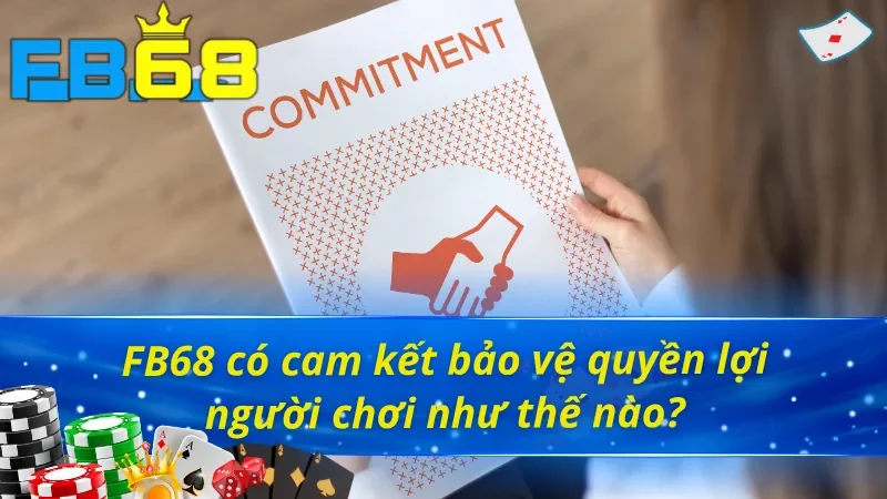 Nhà cái có bảo vệ quyền lợi khách hàng Fb88 không?